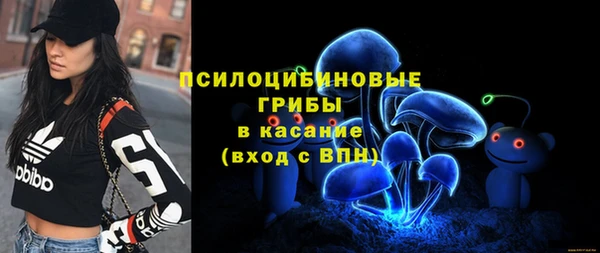 твердый Алзамай