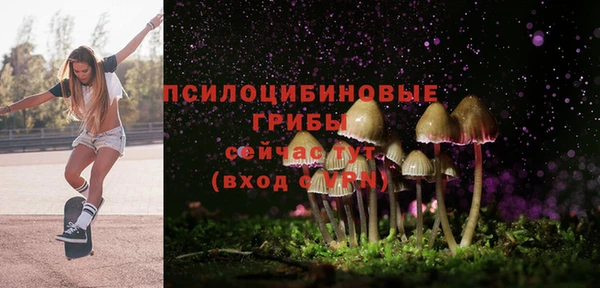 твердый Алзамай